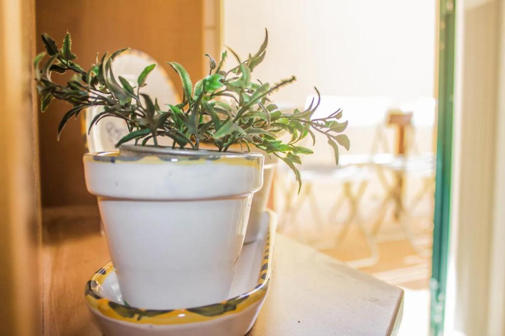 Blife Olaya Private Rooms Olhão المظهر الخارجي الصورة